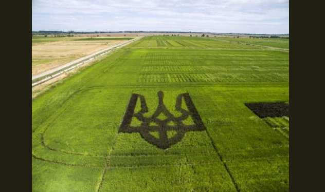 64,3% украинцев выступают против открытия рынка земли, - опрос Центра Разумкова