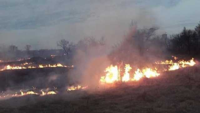 В Донецке сгорела часть парка, неподалеку от Донбасс Арены