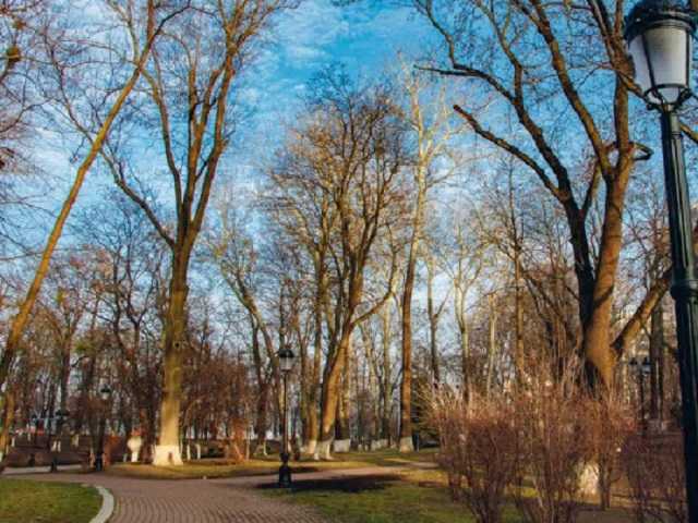 Недалеко от Верховной Рады обнаружили человеческие останки: фото жуткой находки