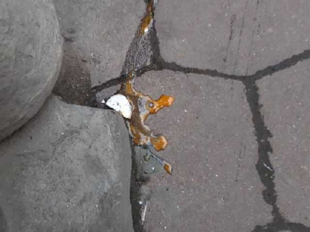 Во Львове забросали яйцами активисток, выступающих за права женщин