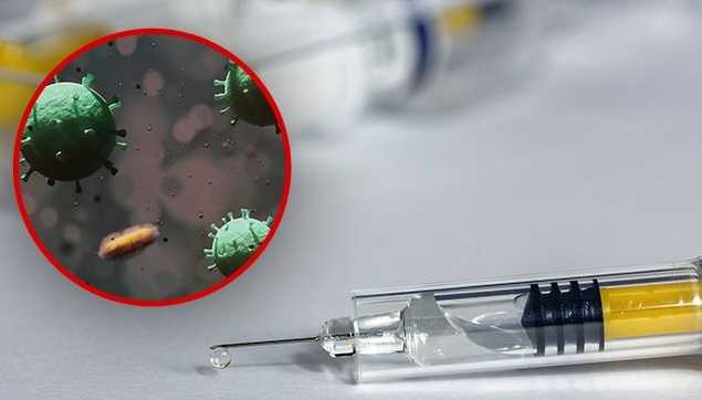 Эпидемия коронавируса в мире: самые свежие данные