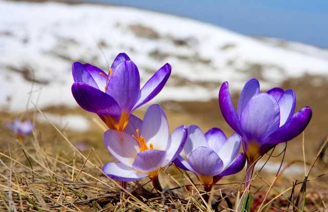 140 лет такого не было: В Киеве зафиксировано несколько температурных рекордов марта