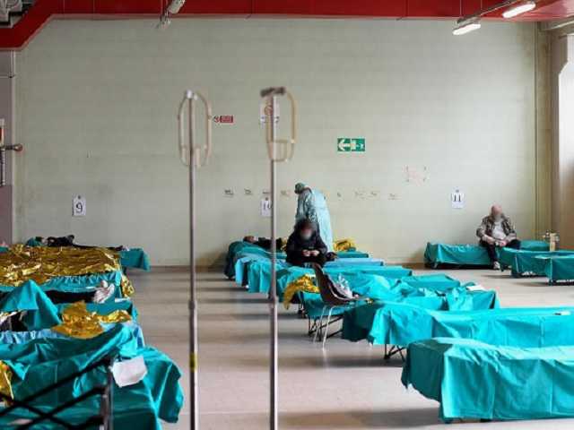 В сети показали, как выглядели легкие умершего от коронавируса: шокирующие фото