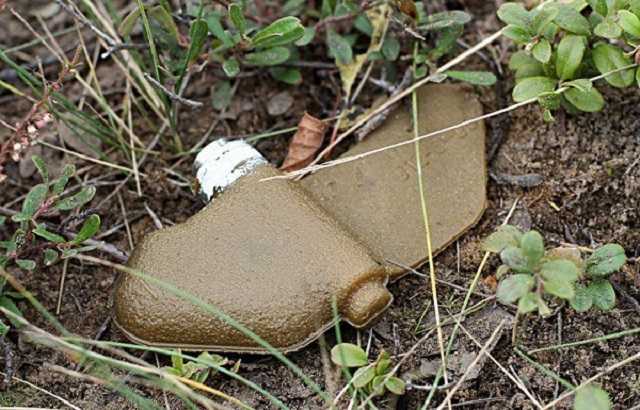 На окупованій Луганщині подружжя підірвалося на мінах, – ОБСЄ