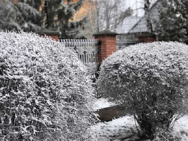 Под Ровно выпал мартовский снег