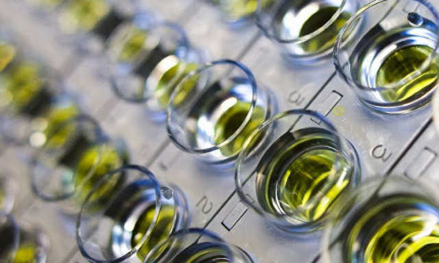 США створили тест на COVID-19, який у 10 разів швидший за наявні