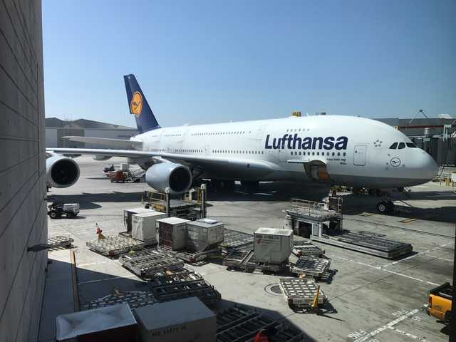 Lufthansa       