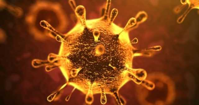 Медики показали, як коронавірус вбиває організм зсередини