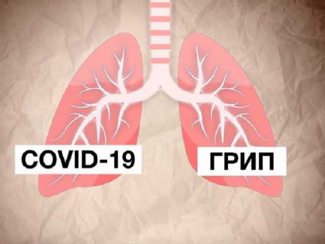 В сети доходчиво объяснили, чем коронавирус опаснее обычного гриппа