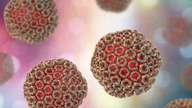 Хантавирус: что это за болезнь и как не заразиться