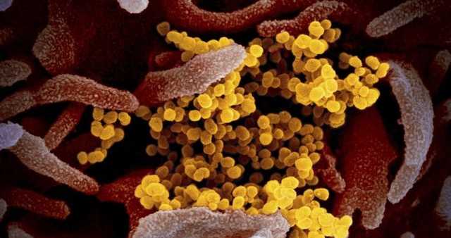 Сумчанка, в якої знайшли коронавірус, після приїзду з Чехії видавала довідки