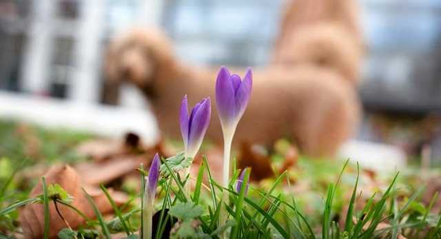 Синоптики здивували прогнозом погоди на 28 березня