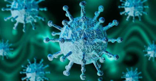 Названа единственная область Украины, где нет коронавируса