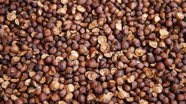 Україна до 1 липня заборонила експорт гречки