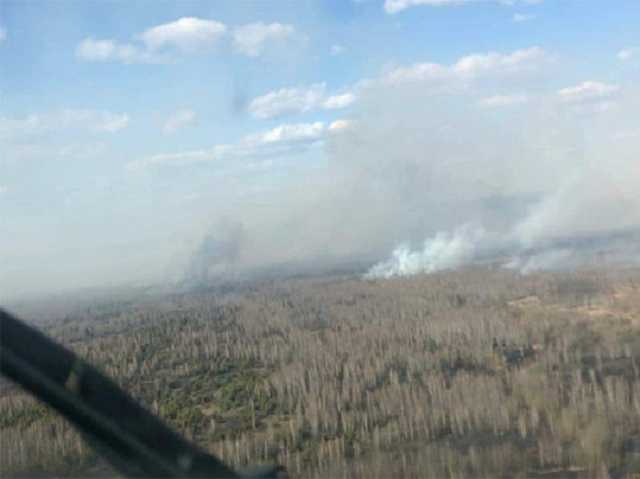 Пожар в Чернобыльской зоне еще не потушен, появилась информация о радиационном фоне