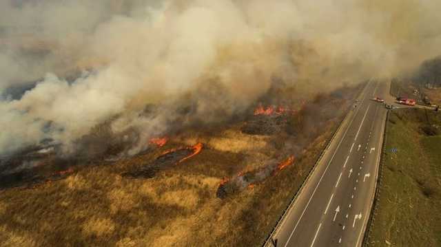 У Чорнобильській зоні продовжують гасити пожежі