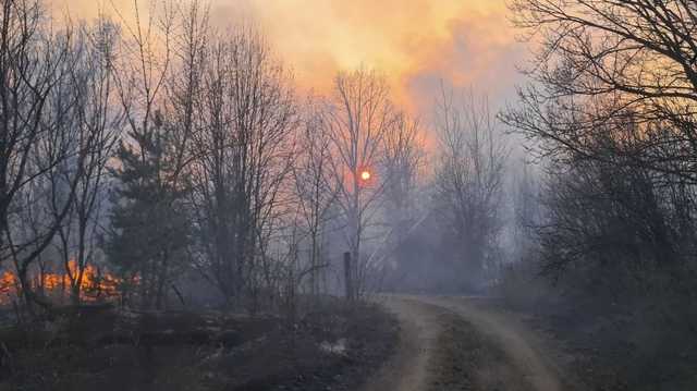 Десятки миллионов: в Украине оценили убытки от пожара в Чернобыльской зоне