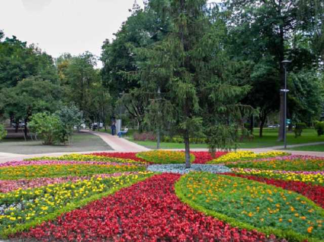 Вместо посещения парков киевлянам предлагают видеопрогулки по ним