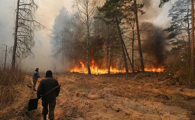 Пожар в Чернобыле. И при чем здесь начальник ГУВБ СБУ Наумов?