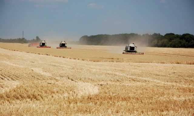 Рейдерські історії Кіровоградщини під “дахом” ОПЗЖ