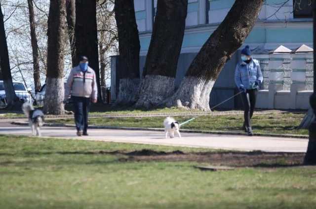 Появились любопытные данные об отношении украинцев к возможному продлению карантина