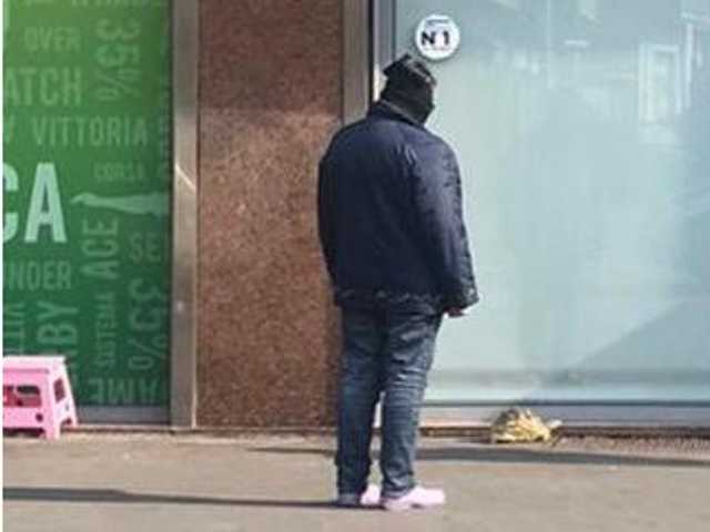 Італійку оштрафували за вигул черепахи