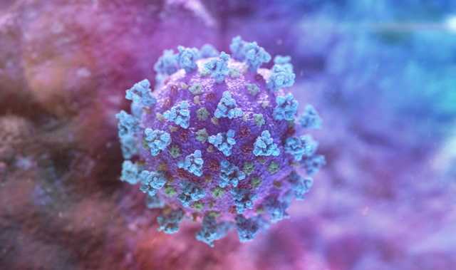 Ученые спрогнозировали дату следующей вспышки коронавируса