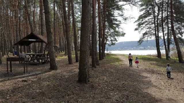 Ляшко объяснил, почему в Украине закрыли парки для пикников
