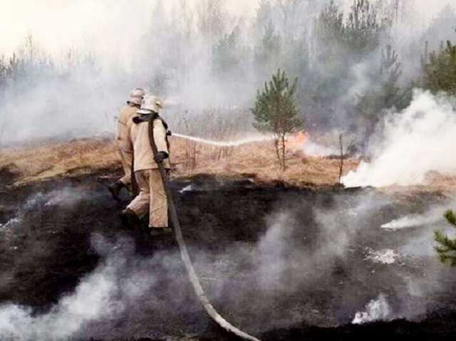 В Киеве спасают пожарного, тяжело пострадавшего в Чернобыльской зоне