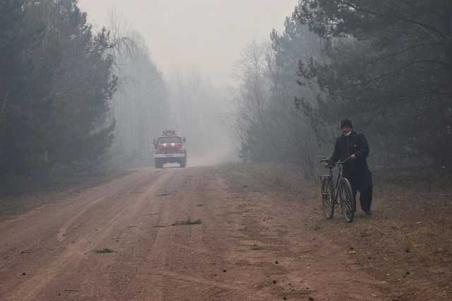 На Житомирщині вирують масштабні пожежі: горять ліси і села