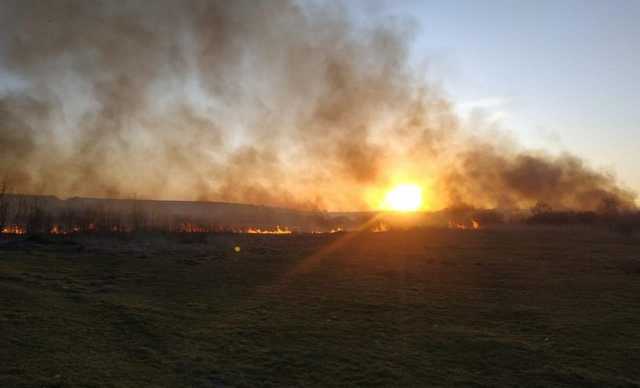 Під Тернополем пожежа в орнітологічному заповіднику