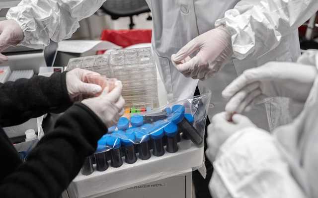 Коронавирус научился прятаться в организме: выяснилось, почему ПЦР-тесты обманывают