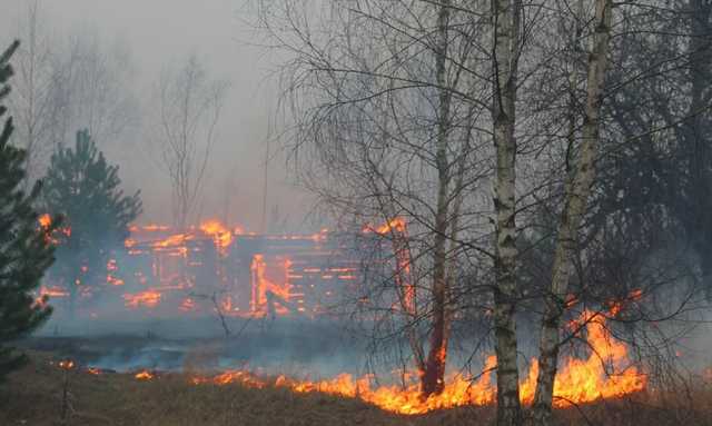 На Житомирщині повідомили про 4 великі пожежі, ОП каже — невеликі займання