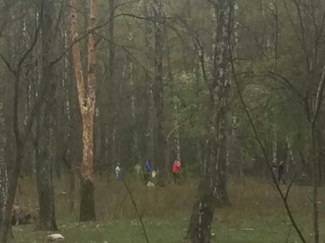 Вопреки карантину: жители Чернигова во время Пасхи гуляли в лесу и проводили пикники