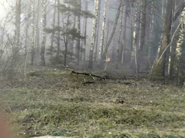 "Дым перекрывает солнце": под Киевом вспыхнул сильный пожар