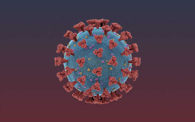 Карантин могут продлить до лета: на Буковине новый антирекорд случаев COVID-19