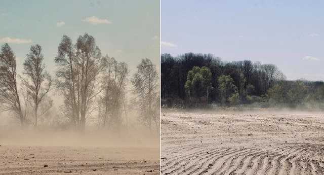 Украина из-за вырубки деревьев превращается в Египет: появились показательные кадры