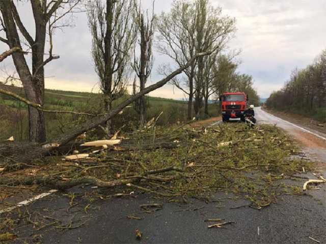 Ураган на Закарпатье срывал крыши с домов: впечатляющие фото последствий стихии