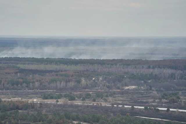 В Харьковской области горит хвойный лес: огонь охватил огромную площадь