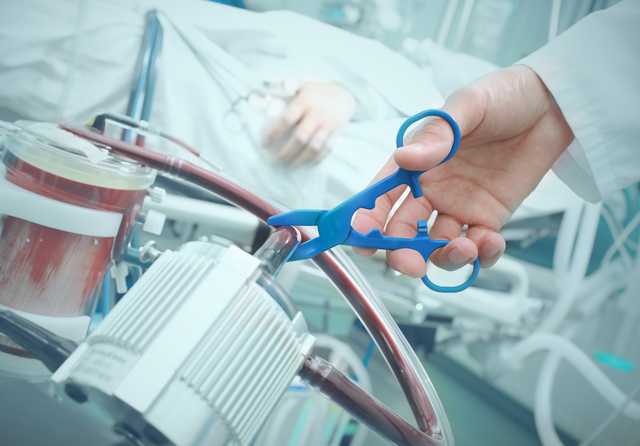 В Нидерландах разрешили эвтаназию