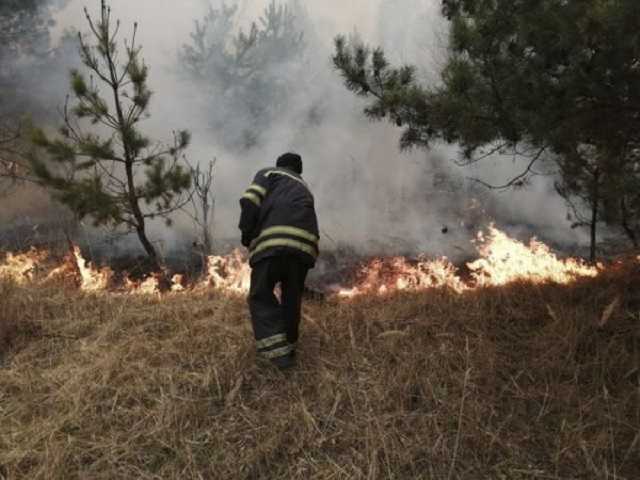 "Связь - 0, организация - 0": развал ГСЧС времен Авакова