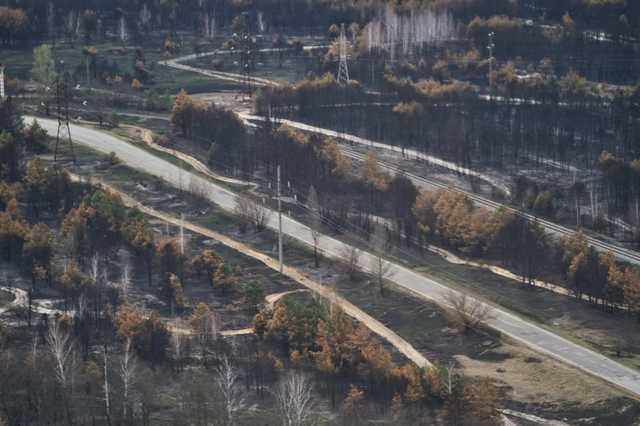 В Житомирской и Киевской областях все очаги лесных пожаров локализованы, - ГосЧС