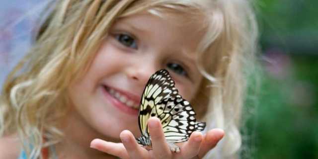 В Британии у детей обнаружили ранее неизвестный синдром, связанный с COVID-19