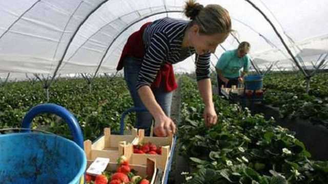 В Кабмине назвали условия, при которых отпустят украинцев на работу за границу