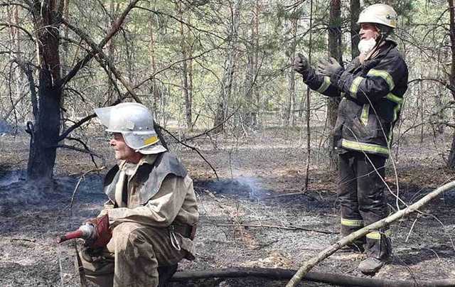 Спасатели продолжают тушить пожары в Житомирской области и зоне ЧАЭС