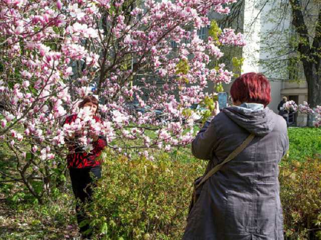 Откроют торговые центры: в Мукачево решили ослабить карантин