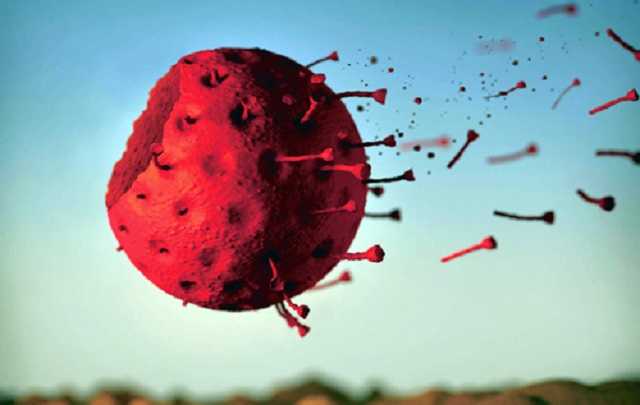 Scientific American:     COVID-19