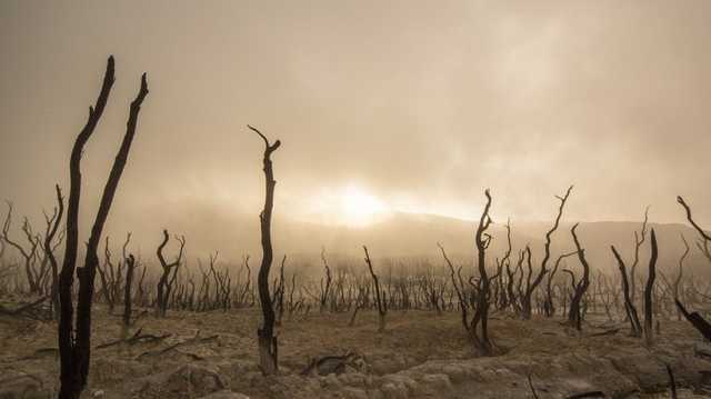 Крым стремительно засыхает: водохранилища исчезли на глазах, назрел бунт