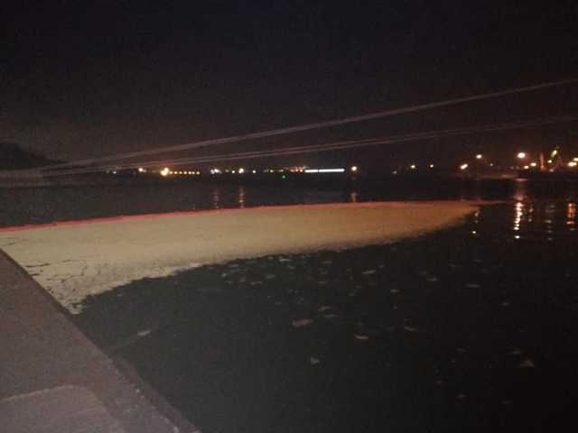 Под Одессой иностранное судно сбросило в море тонны пальмового масла