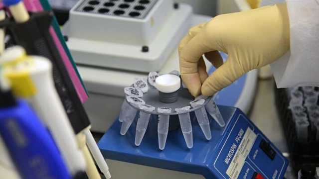 СМИ: Лаборатория Житомира из-за нагрузки прекратит принимать тесты на COVID-19